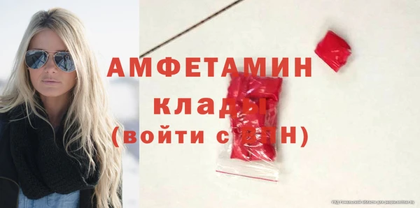 крисы Мегион