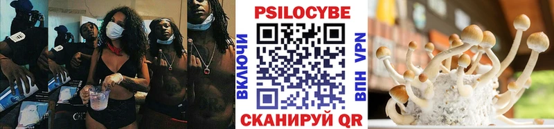 Псилоцибиновые грибы GOLDEN TEACHER  Купить где  Урус-Мартан 
